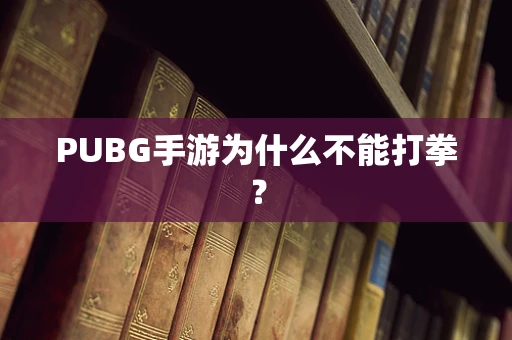 PUBG手游为什么不能打拳？