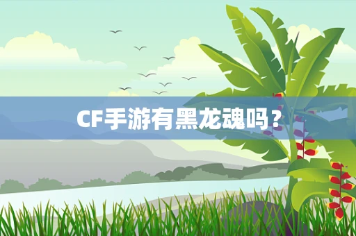 CF手游有黑龙魂吗？