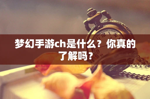 梦幻手游ch是什么？你真的了解吗？